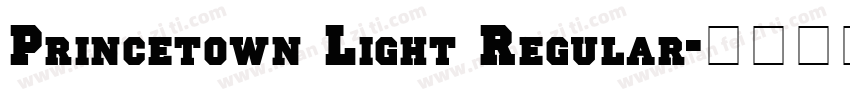 Princetown Light Regular字体转换